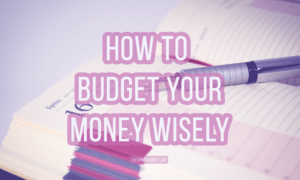 thewisebudget personal finance blog contact