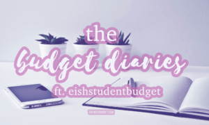 thewisebudget the budget diaries interviews eishstudentbudget