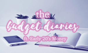 thewisebudget the budget diaries early 20s money